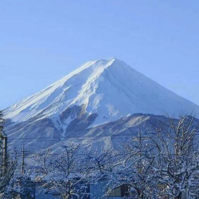 未来机甲决战九游版下载