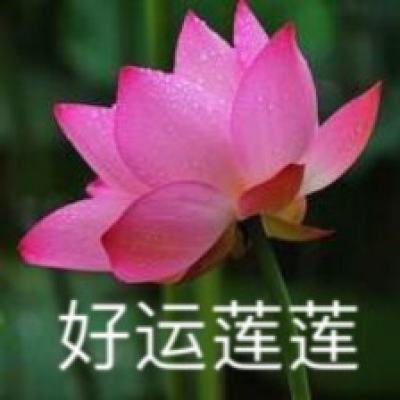 放置美少女手游